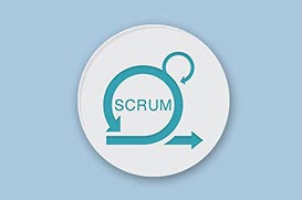 Certified Agile Scrum Master